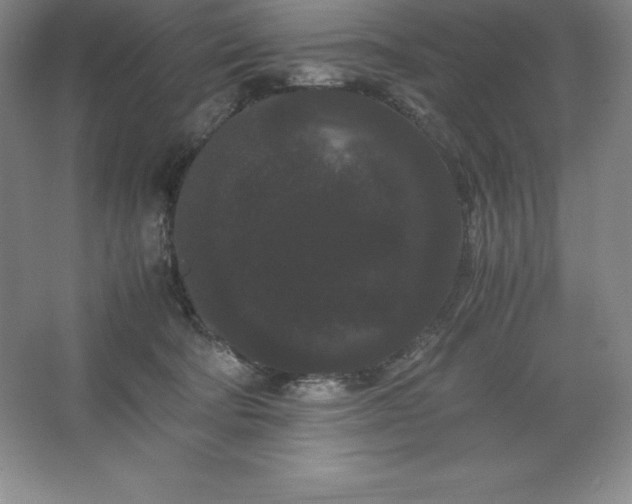 X0000062630322200512281602