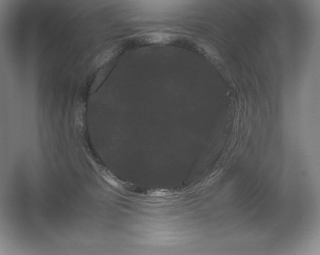 X0000062630325200512281602