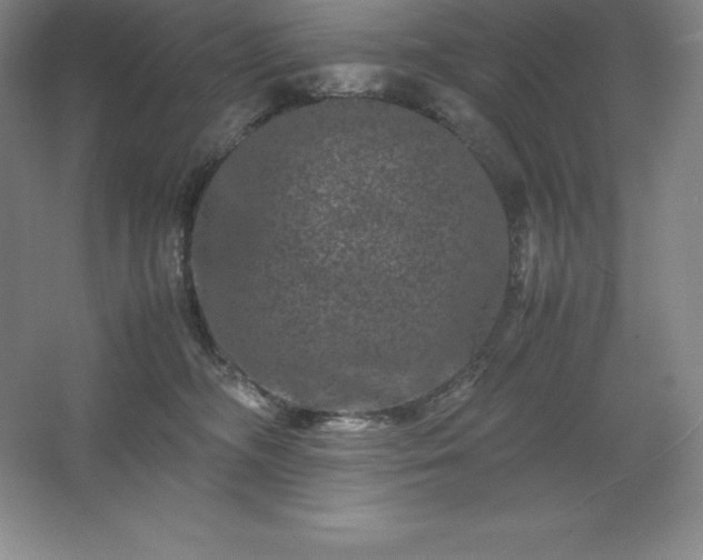 X0000062630326200512281602