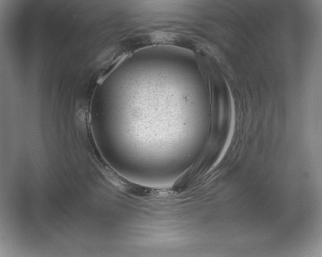 X0000062630329200512281602