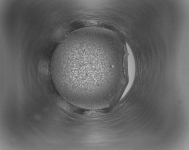 X0000062630331200512281602