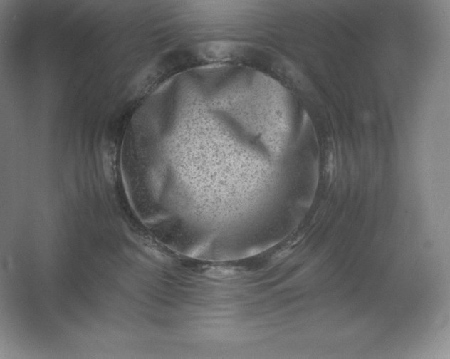 X0000062630332200512281602