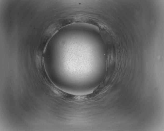 X0000062630333200512281602