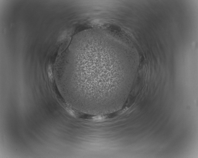 X0000062630335200512281602