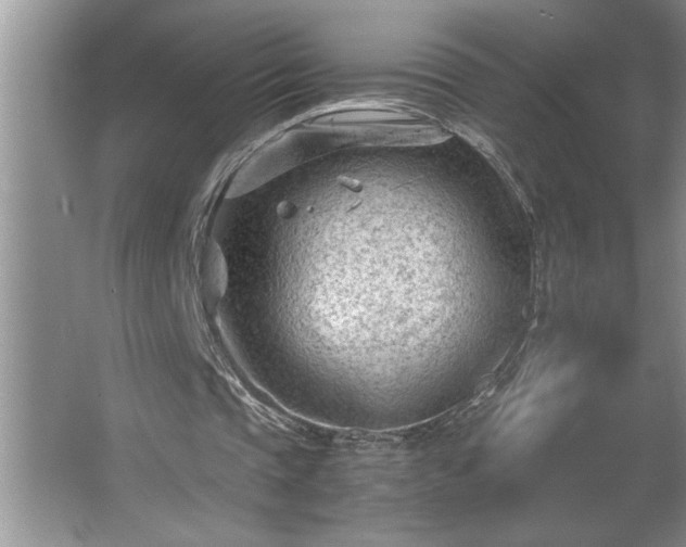 X0000062630337200512281601