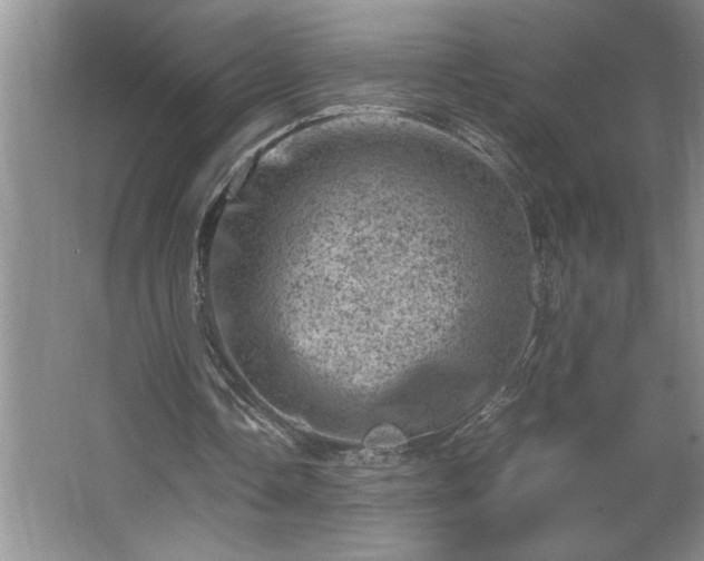 X0000062630338200512281601