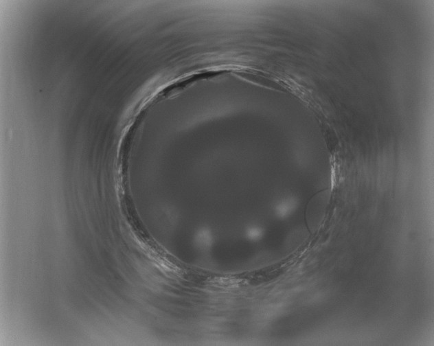 X0000062630339200512281601