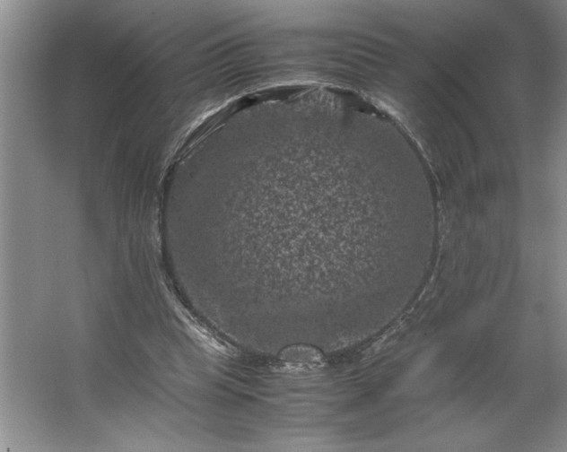 X0000062630345200512281601