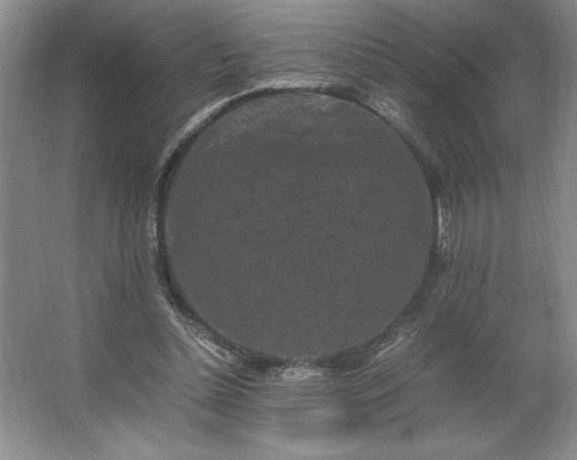 X0000062630348200512281601