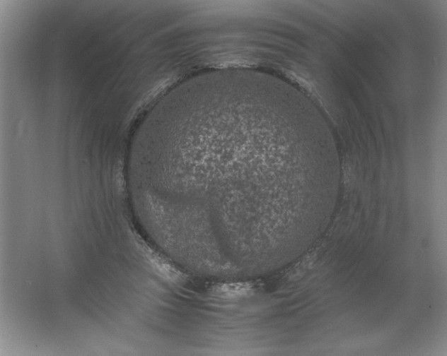 X0000062630353200512281601