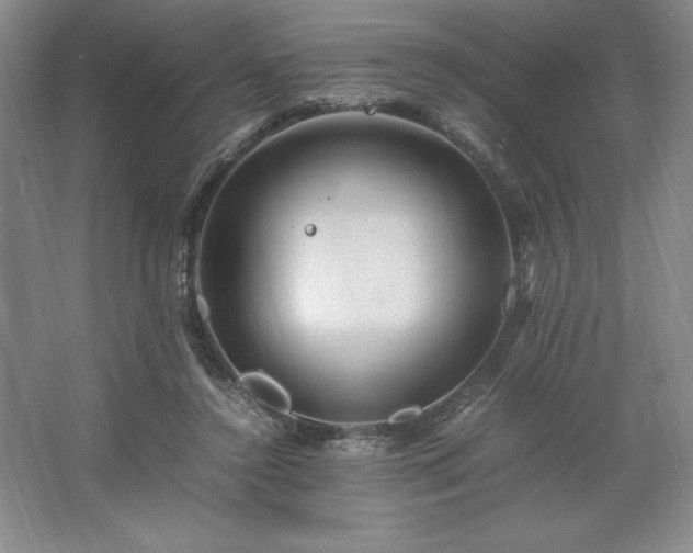 X0000062630356200512281601