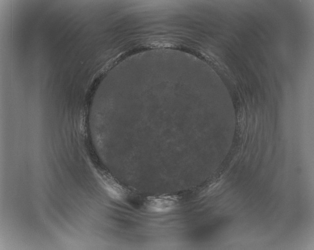 X0000062630359200512281601