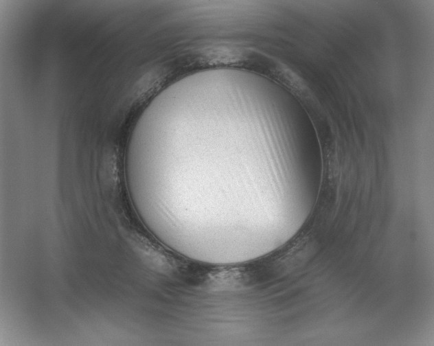 X0000062630362200512281601