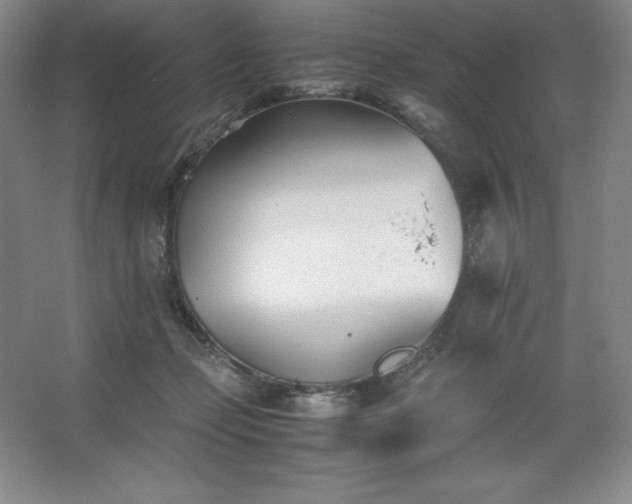 X0000062630365200512281601