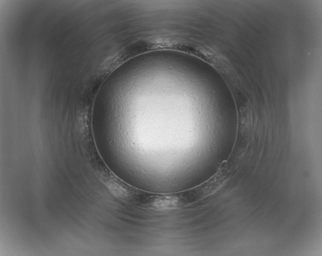 X0000062630369200512281601