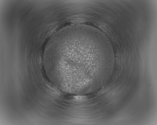 X0000062630371200512281601