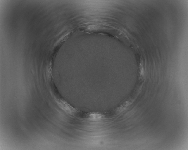 X0000062630376200512281601