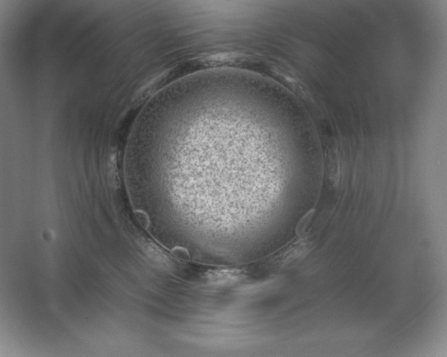 X0000062630378200512281601