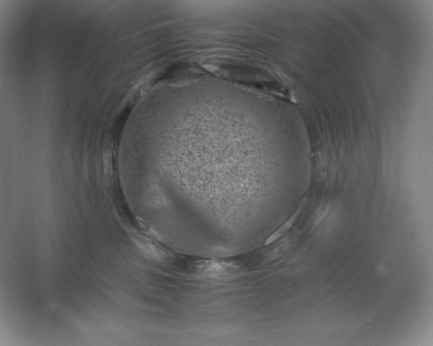 X0000062630379200512281601