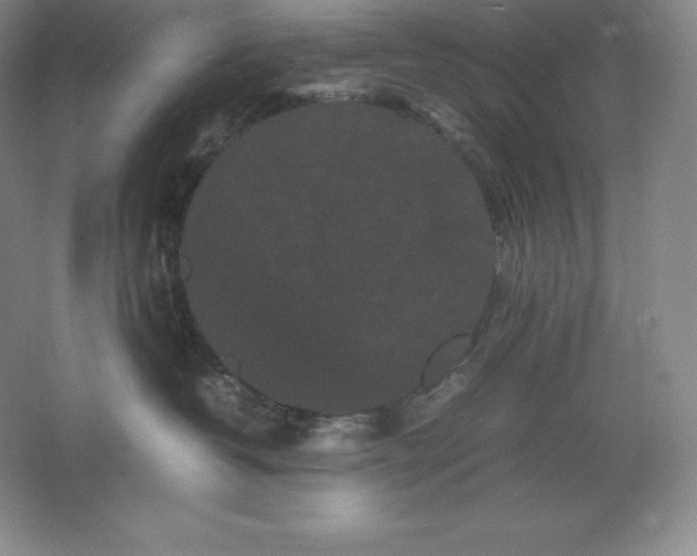 X0000062630382200512281602