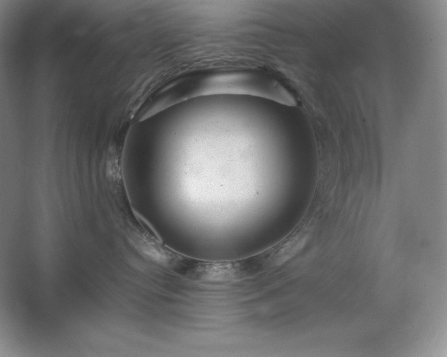 X0000062630384200512281602