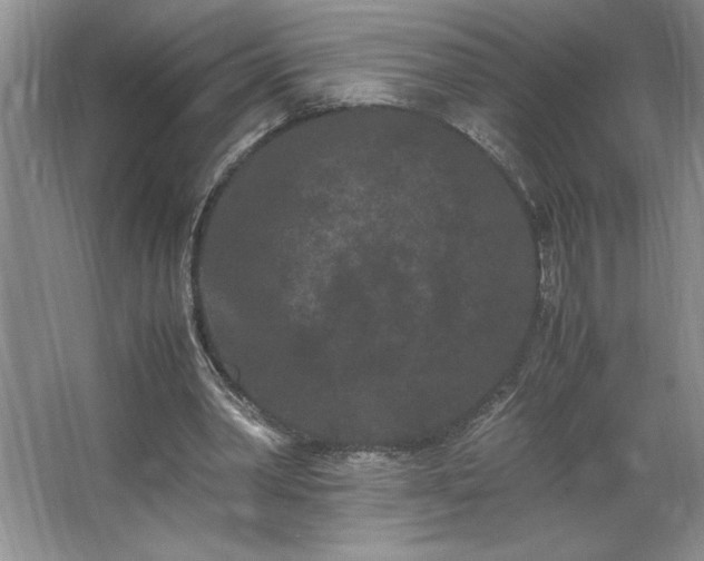 X0000062630390200512281601