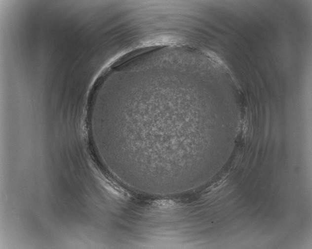 X0000062630392200512281601