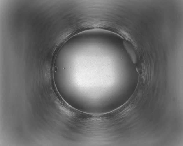 X0000062630394200512281601