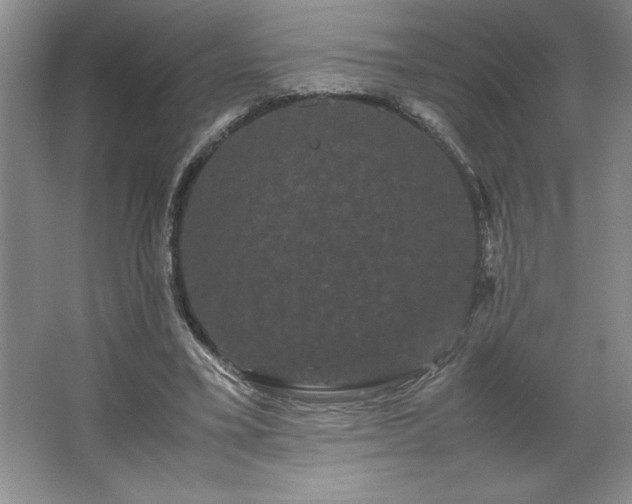 X0000062630395200512281601