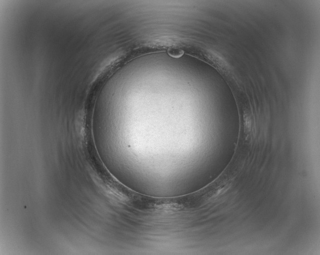 X0000062630396200512281601