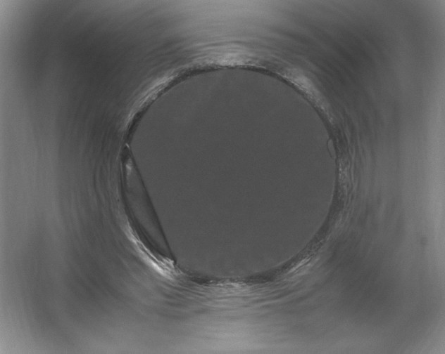 X0000062630397200512281601