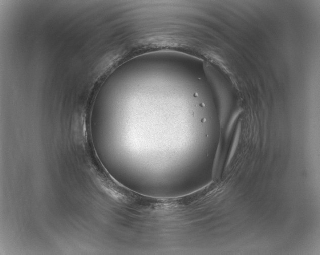 X0000062630398200512281601