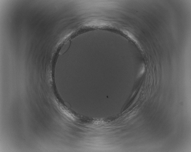 X0000062630399200512281601