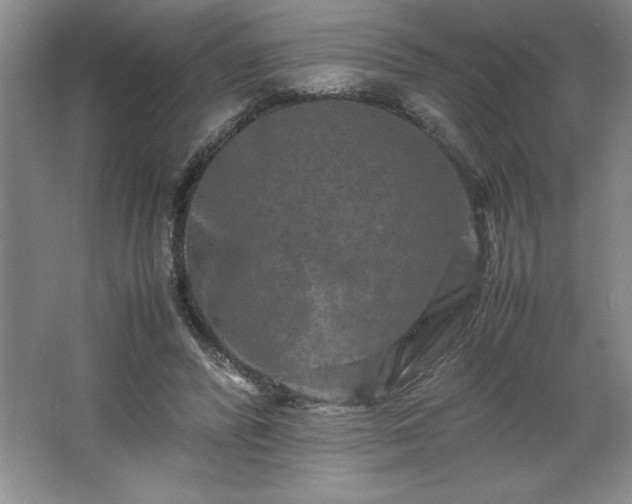 X0000062630400200512281600