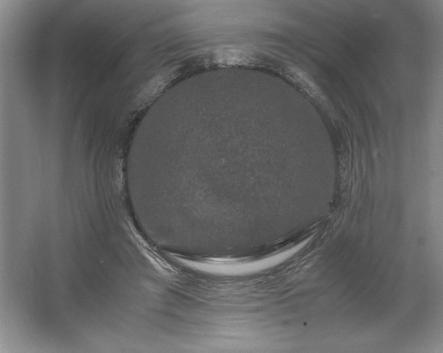 X0000062630401200512281600