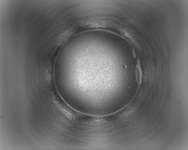 X0000062630402200512281600