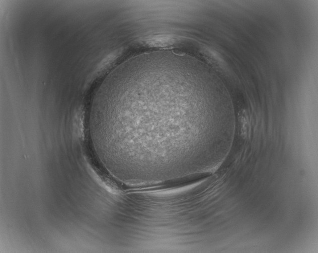 X0000062630404200512281600