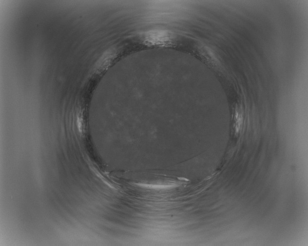 X0000062630408200512281600