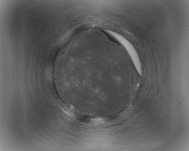 X0000062630409200512281600