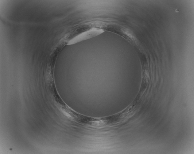 X0000062630411200512281600