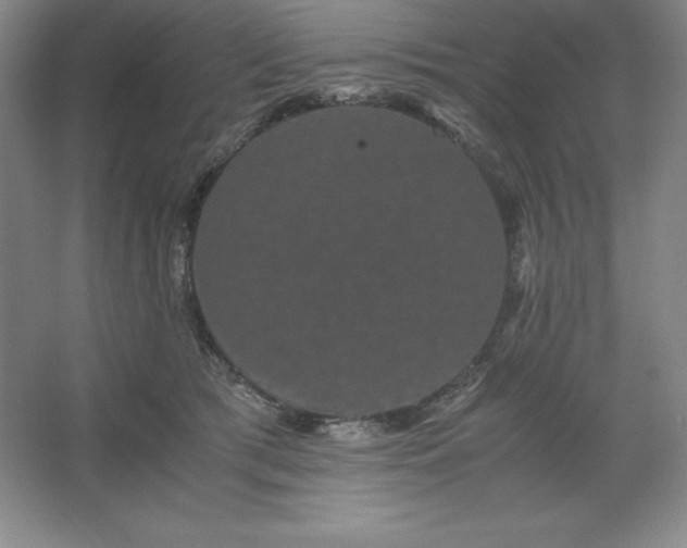 X0000062630417200512281600