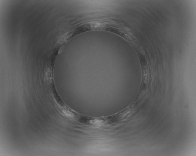 X0000062630419200512281600