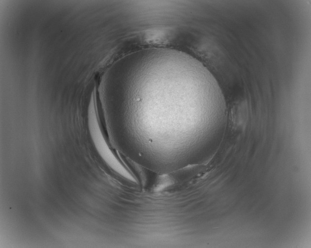 X0000062630424200512281600