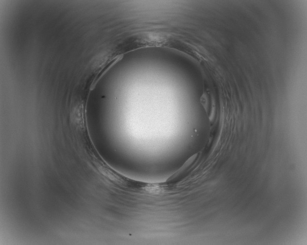 X0000062630425200512281600