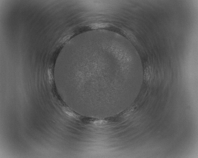 X0000062630426200512281600