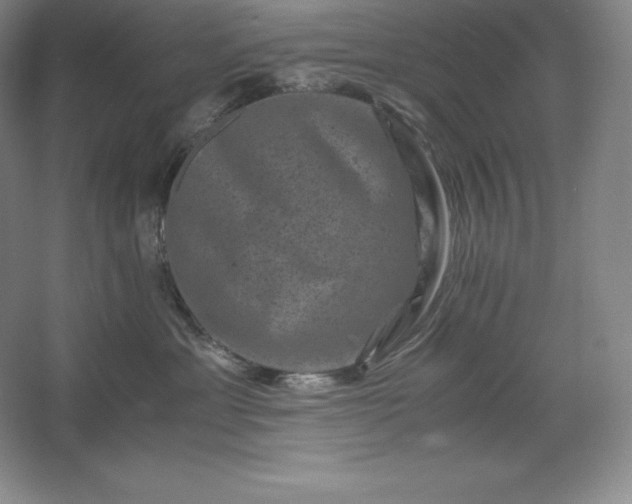 X0000062630429200512281600