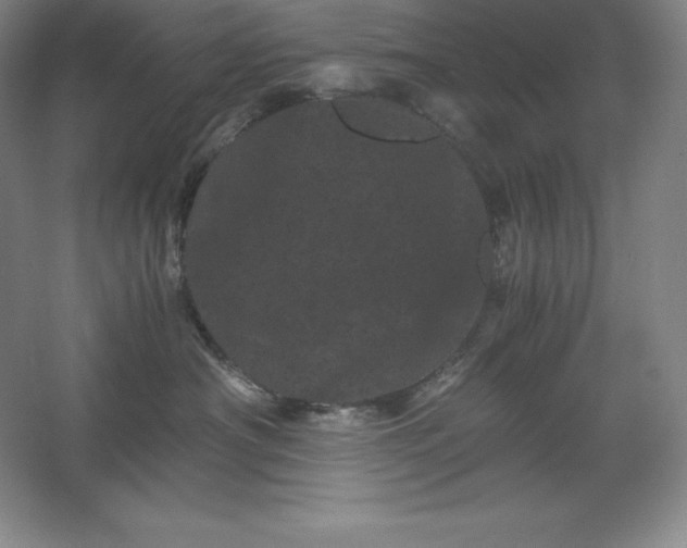 X0000062630430200512281600