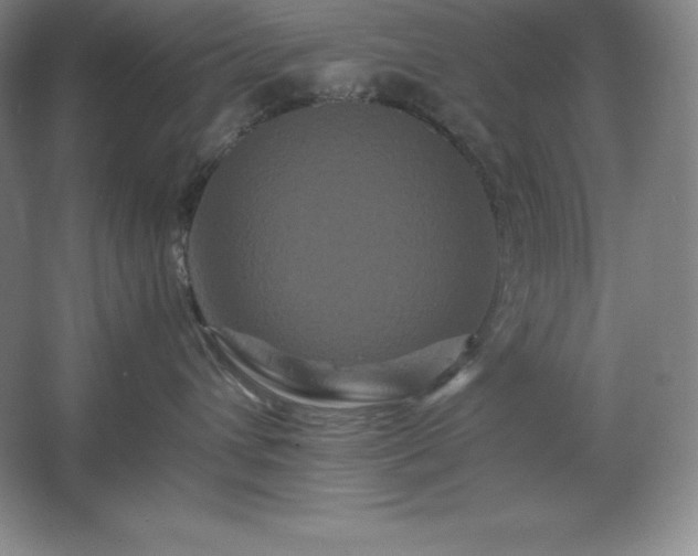 X0000062630432200512281600