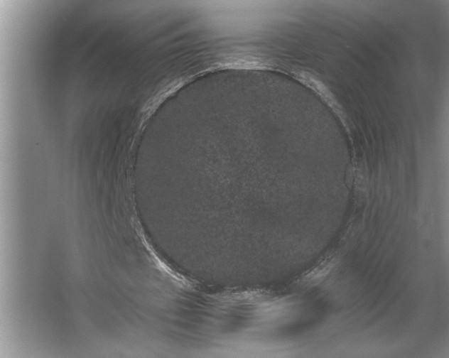 X0000062630433200512281559