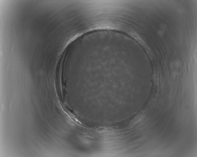 X0000062630434200512281559